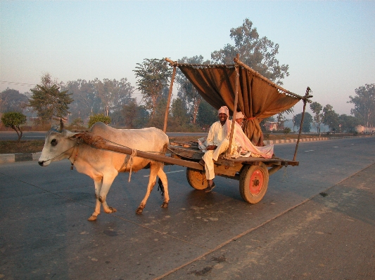 Landscape cart highway high Photo