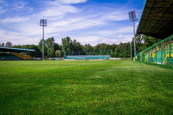 Grass structure field lawn Photo