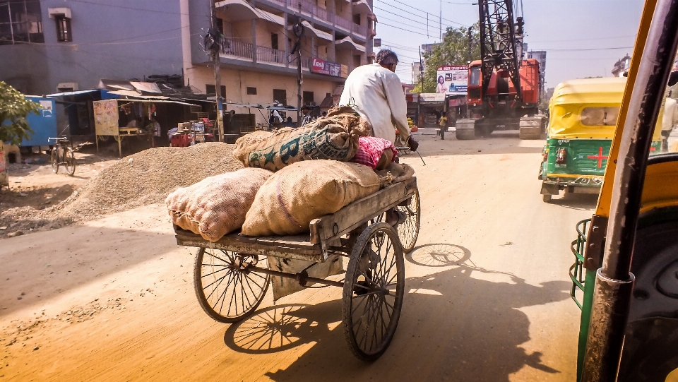 Road street cart bicycle