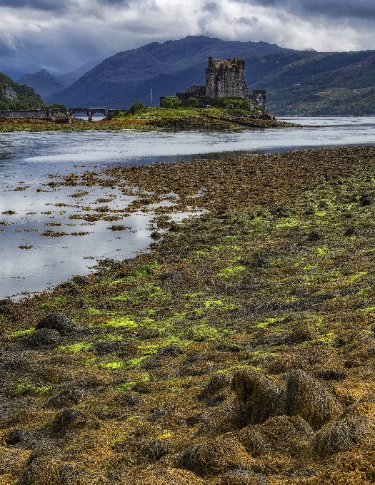 ビーチ 風景 海 海岸