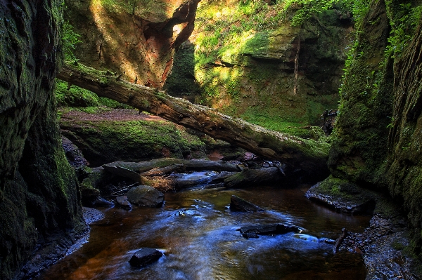 Landscape tree water nature Photo