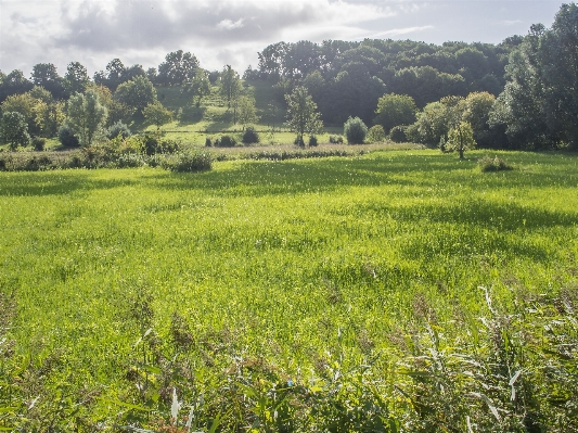 Landscape nature grass light Photo