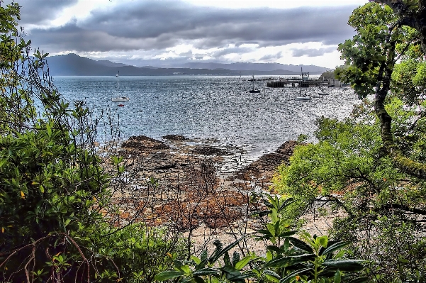 Landscape sea coast water Photo