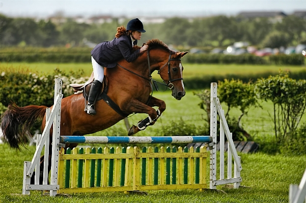 Jagdsitz
 springreiten
 menschliche aktion
 englisches reiten
 Foto