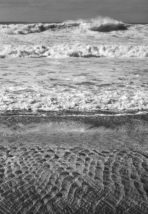 ビーチ 海 海岸 水