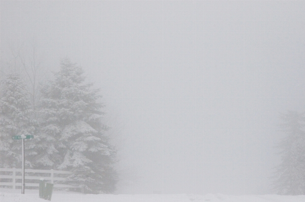 Snow winter fence fog Photo