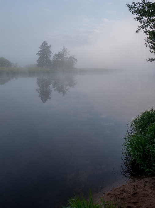 пейзаж море дерево вода