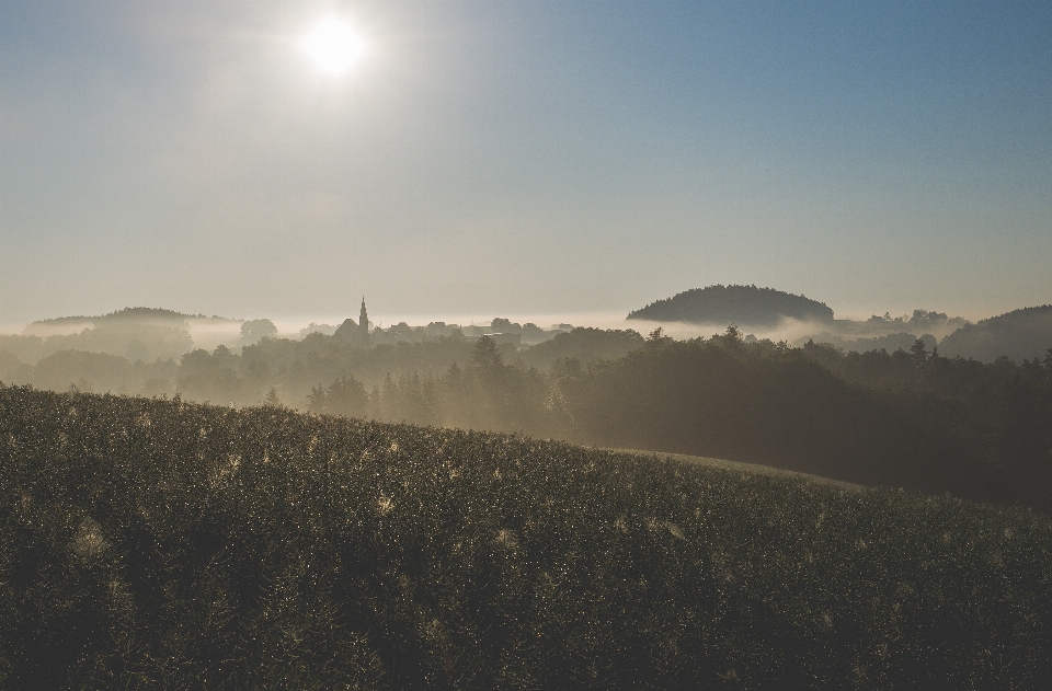 Landscape nature horizon silhouette