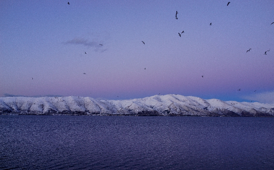 Paisaje mar naturaleza océano