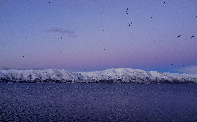 Landscape sea nature ocean Photo