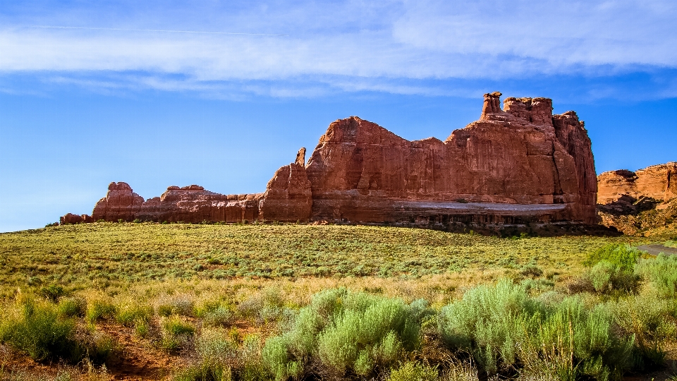 Landscape tree nature rock