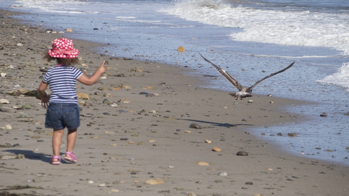 Beach sea coast sand Photo