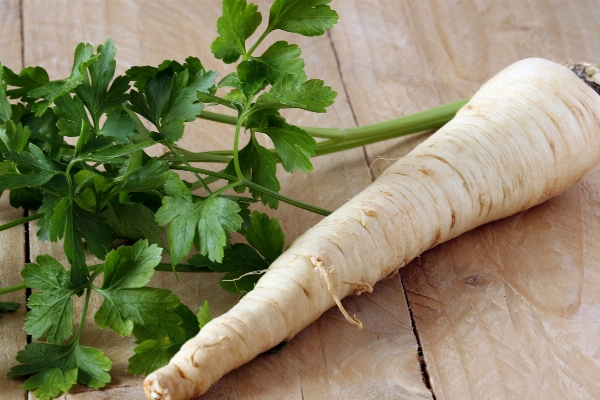 Foto Naturaleza planta blanco alimento