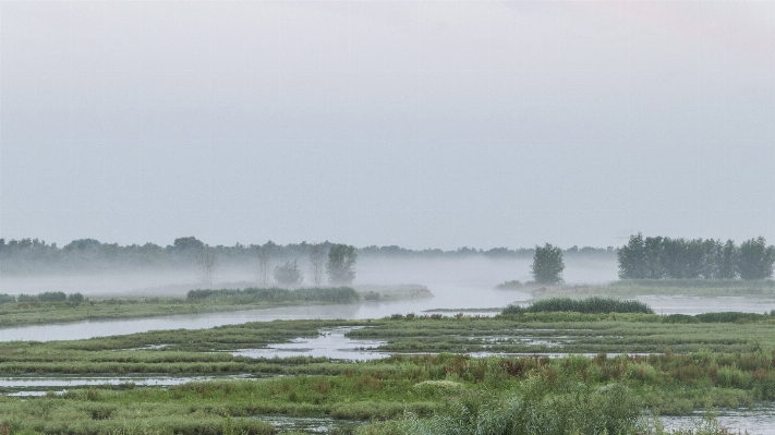 Water nature outdoor marsh Photo