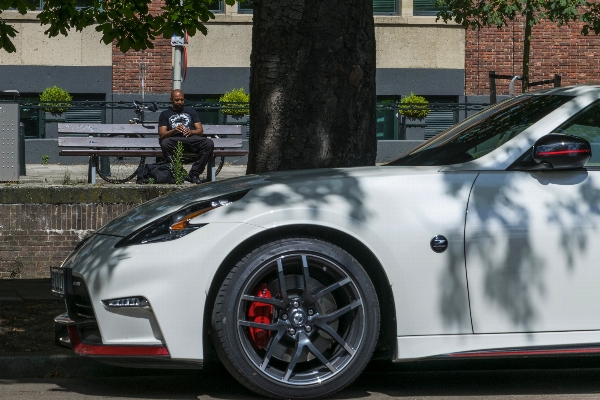 Man tree outdoor car Photo