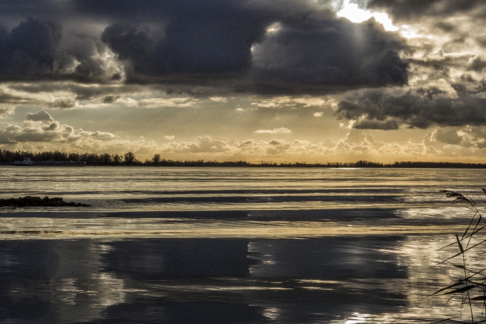 Sea coast water nature