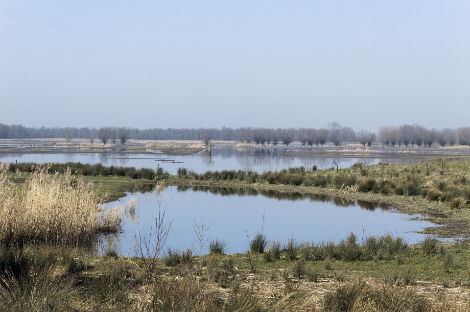 Natura na wolnym powietrzu bagno
 bagno