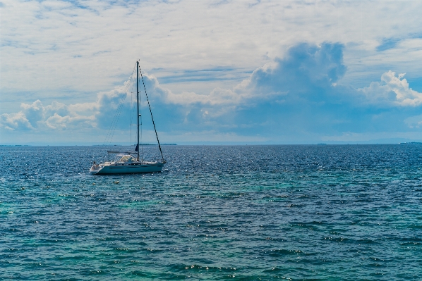 Beach sea coast ocean Photo