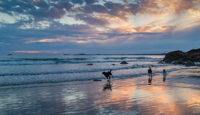 Beach sea coast water Photo