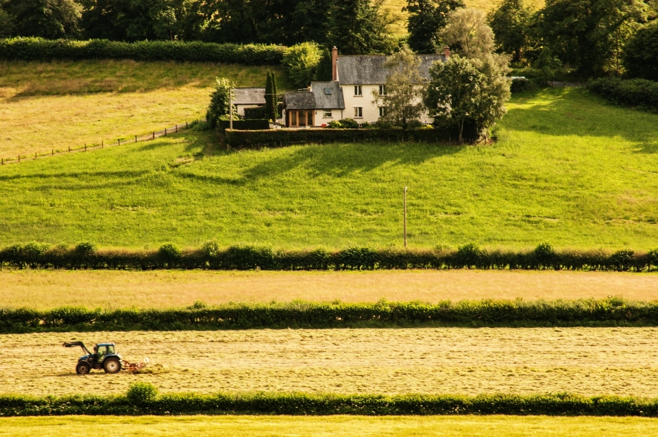 Lavoro lavorando paesaggio erba