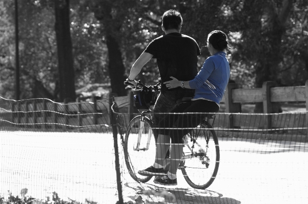 Black and white bicycle bike Photo