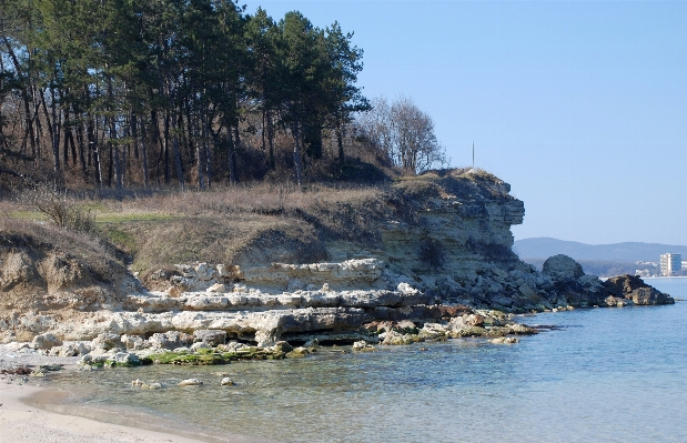 Beach sea coast rock Photo