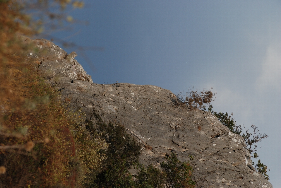 Landschaft meer küste baum