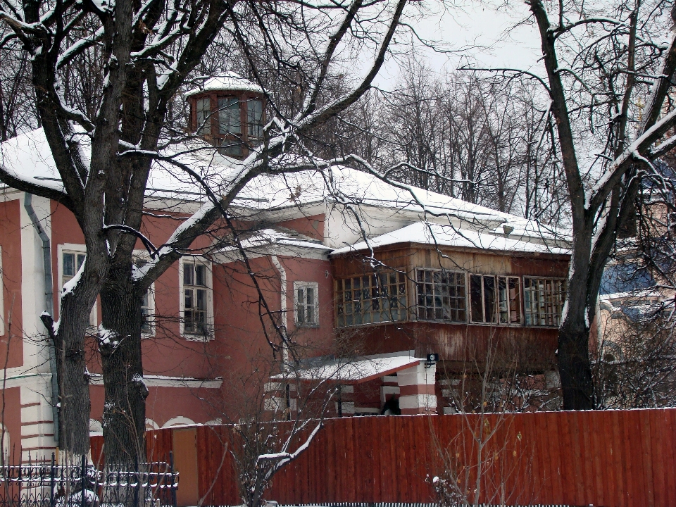 árvore neve inverno casa