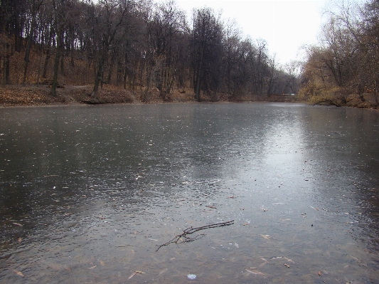 Foto Acqua natura lago fiume