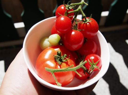 Foto Plantar fruta prato comida