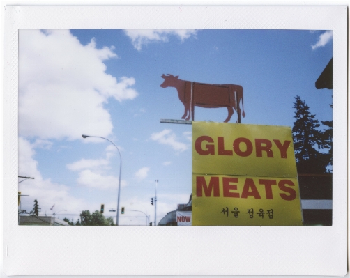 Advertising sign cow banner Photo