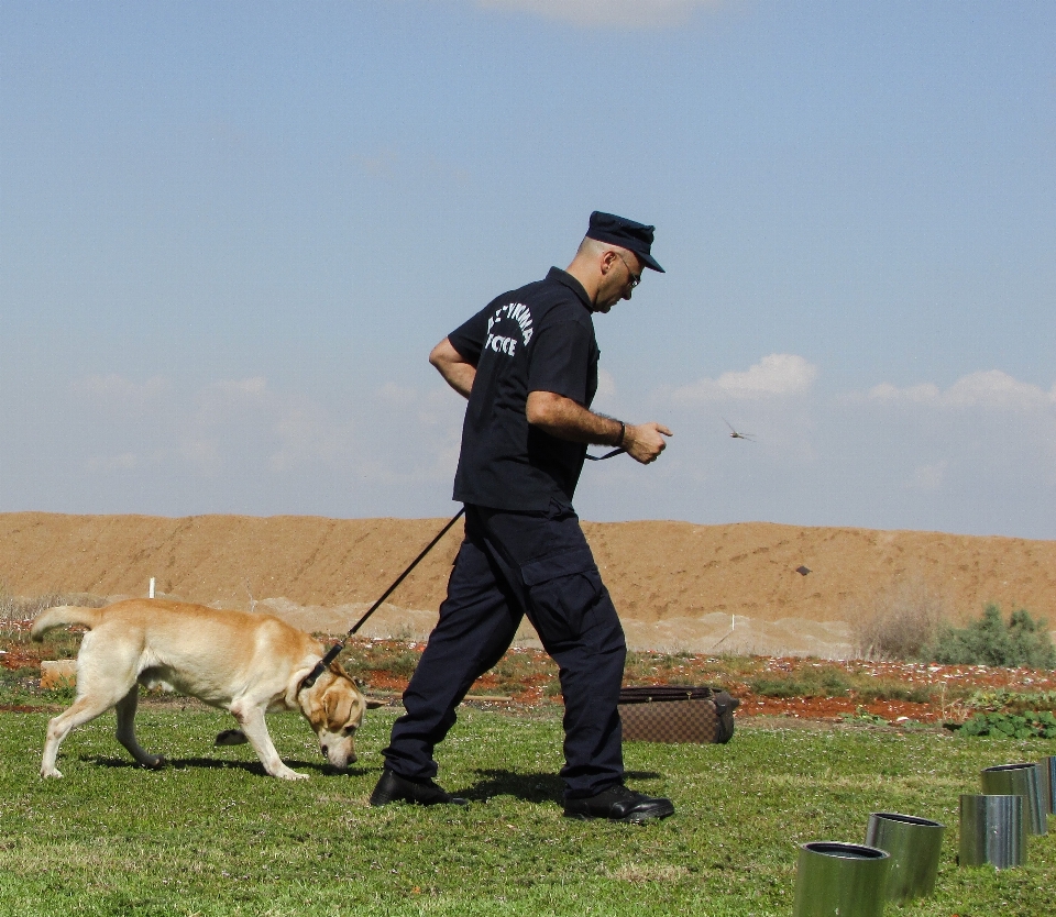 Anjing satwa pelatihan pelatih