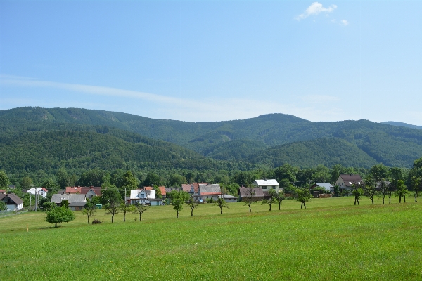 Landscape nature grass horizon Photo