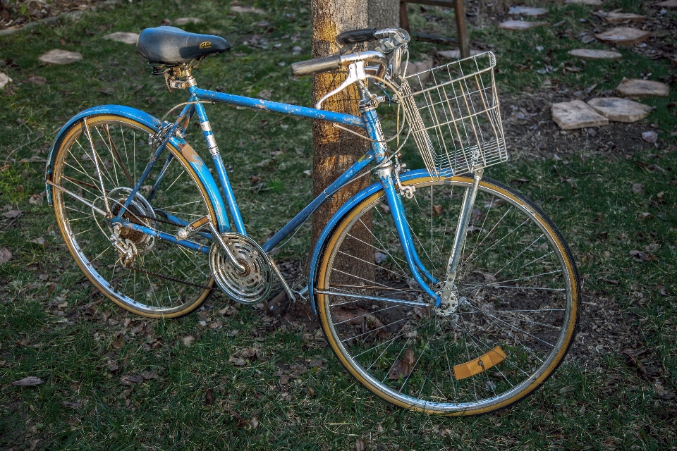 Ruota bicicletta ruggine veicolo