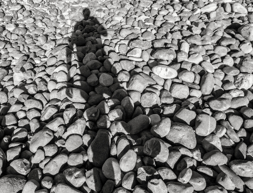 Photo Arbre rock bifurquer noir et blanc
