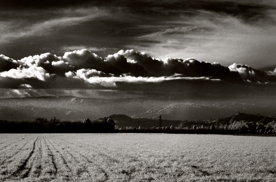 Natur horizont schnee winter