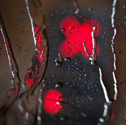 Water light flower reflection Photo