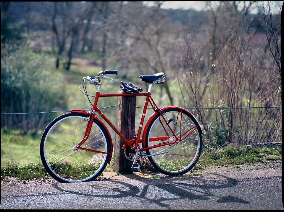 Roue vélo rouge véhicule