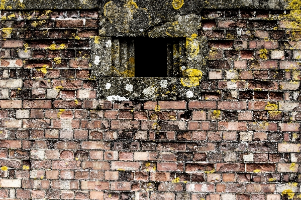 Photo Bois texture mur de pierre
