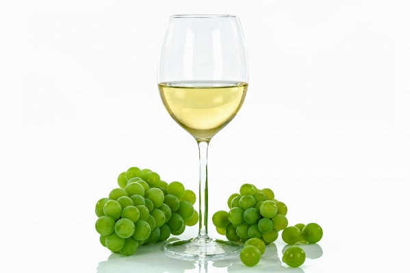 Liquid plant grape wine Photo