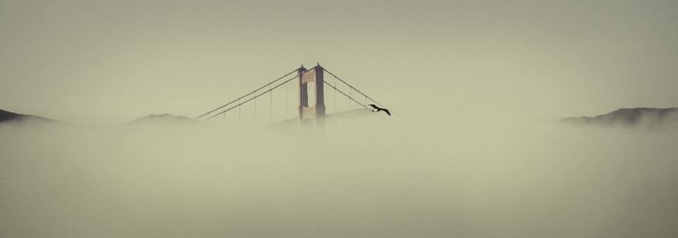 Aile brouillard brume pont