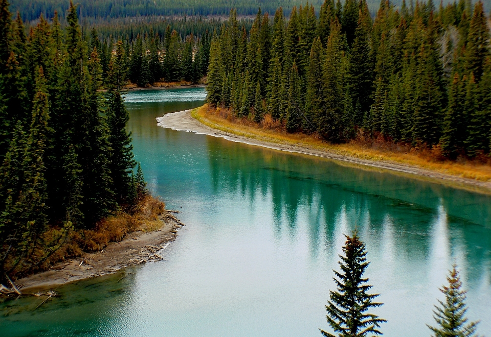 Landschaft baum wasser natur