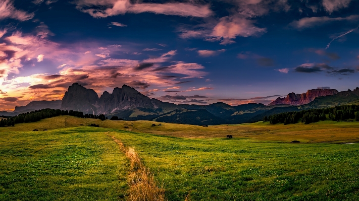 Landscape tree nature horizon Photo