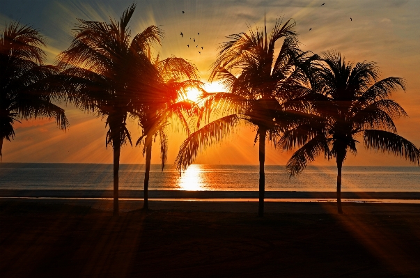 Beach landscape sea coast Photo