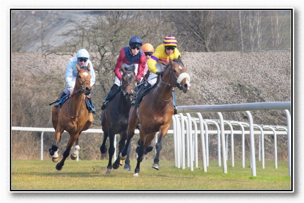 Grass fence sport running Photo