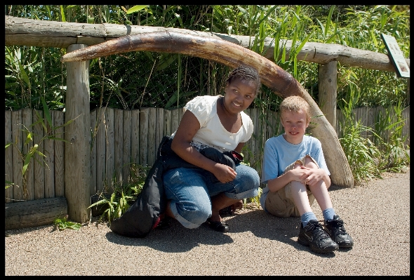 People play zoo sitting Photo