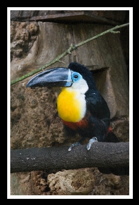 鳥 家 嘴 公園 写真