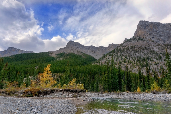 Landscape tree water nature Photo