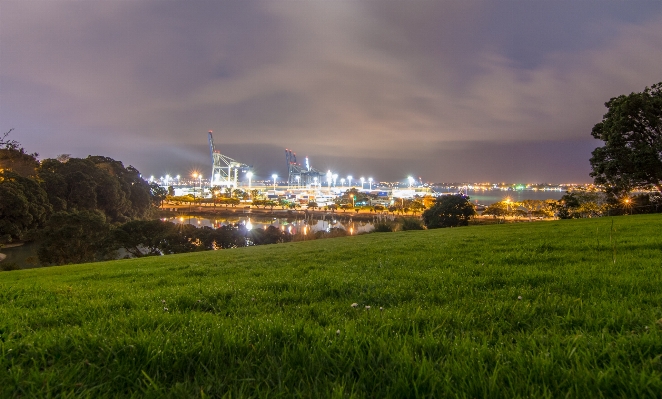 風景 草 地平線 ライト 写真