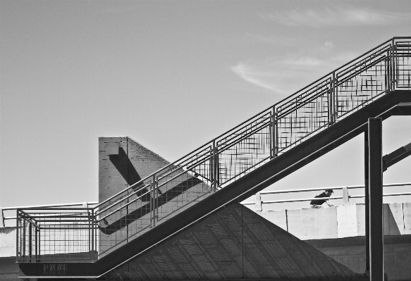 Man black and white architecture Photo